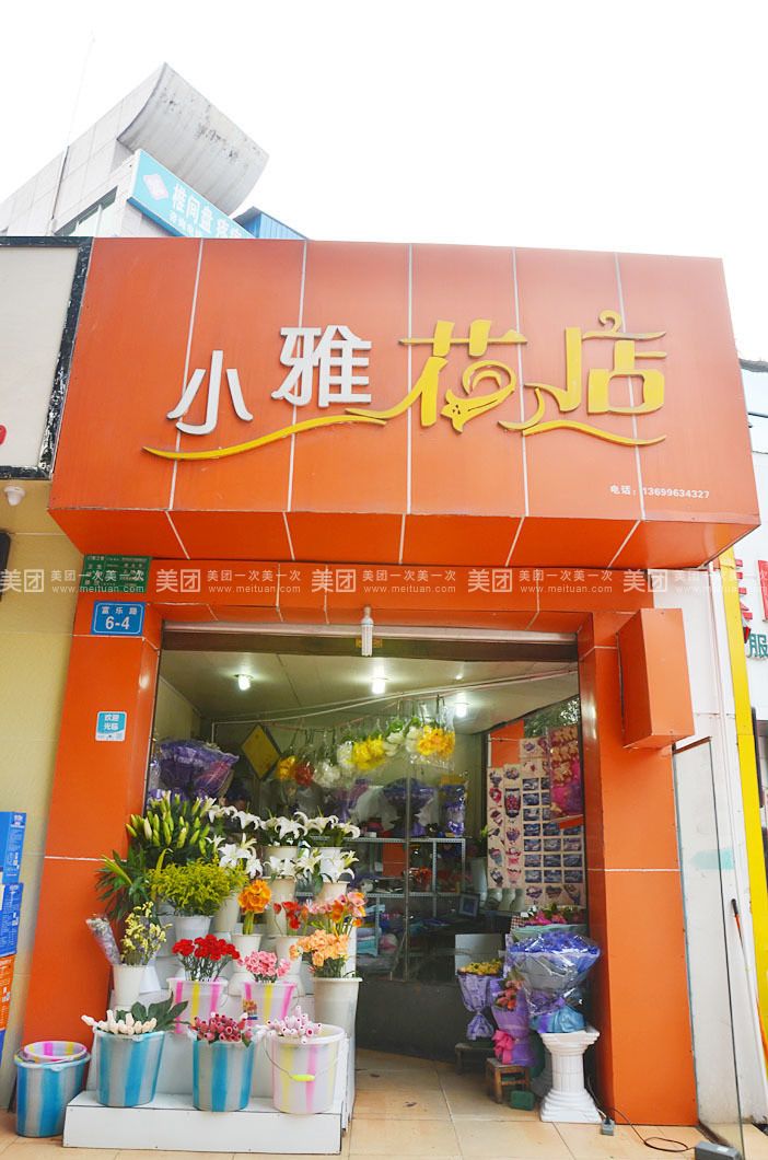 绿植小店新秘籍，如何选购美丽易养植物？-汇一线首码网