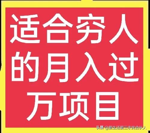 农村创业新趋势：美甲店、卤肉加工和直播制作糕点，谁更赚米？-汇一线首码网