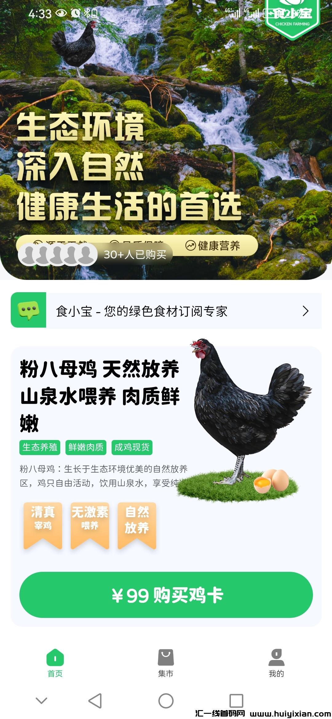 首码食小宝养鸡赚米项目刚上线-汇一线首码网