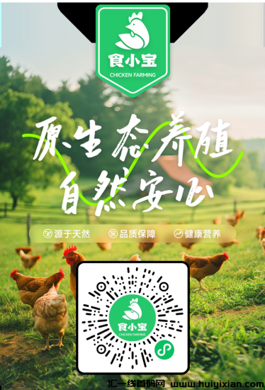 首码食小宝养鸡刚上线赶紧占位吃肉-汇一线首码网